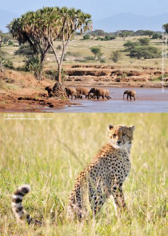 Great Places to stay in Africa - Wildlife Photography Africa