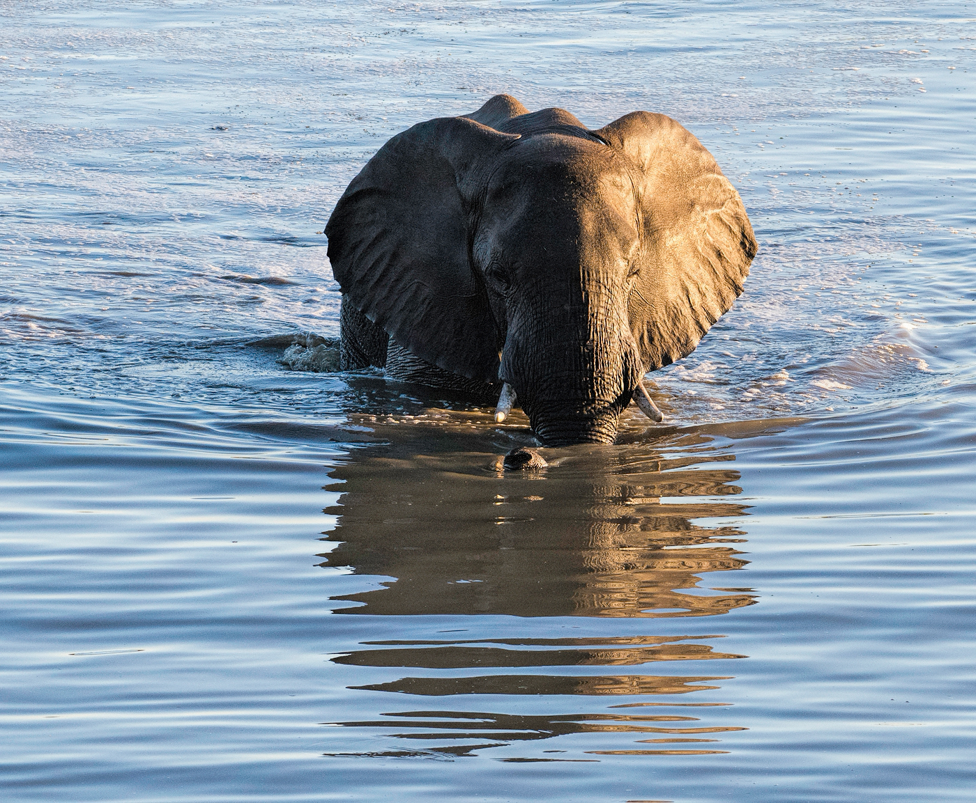 Sundowners at Mazuma Pan - Wildlife Photography Africa